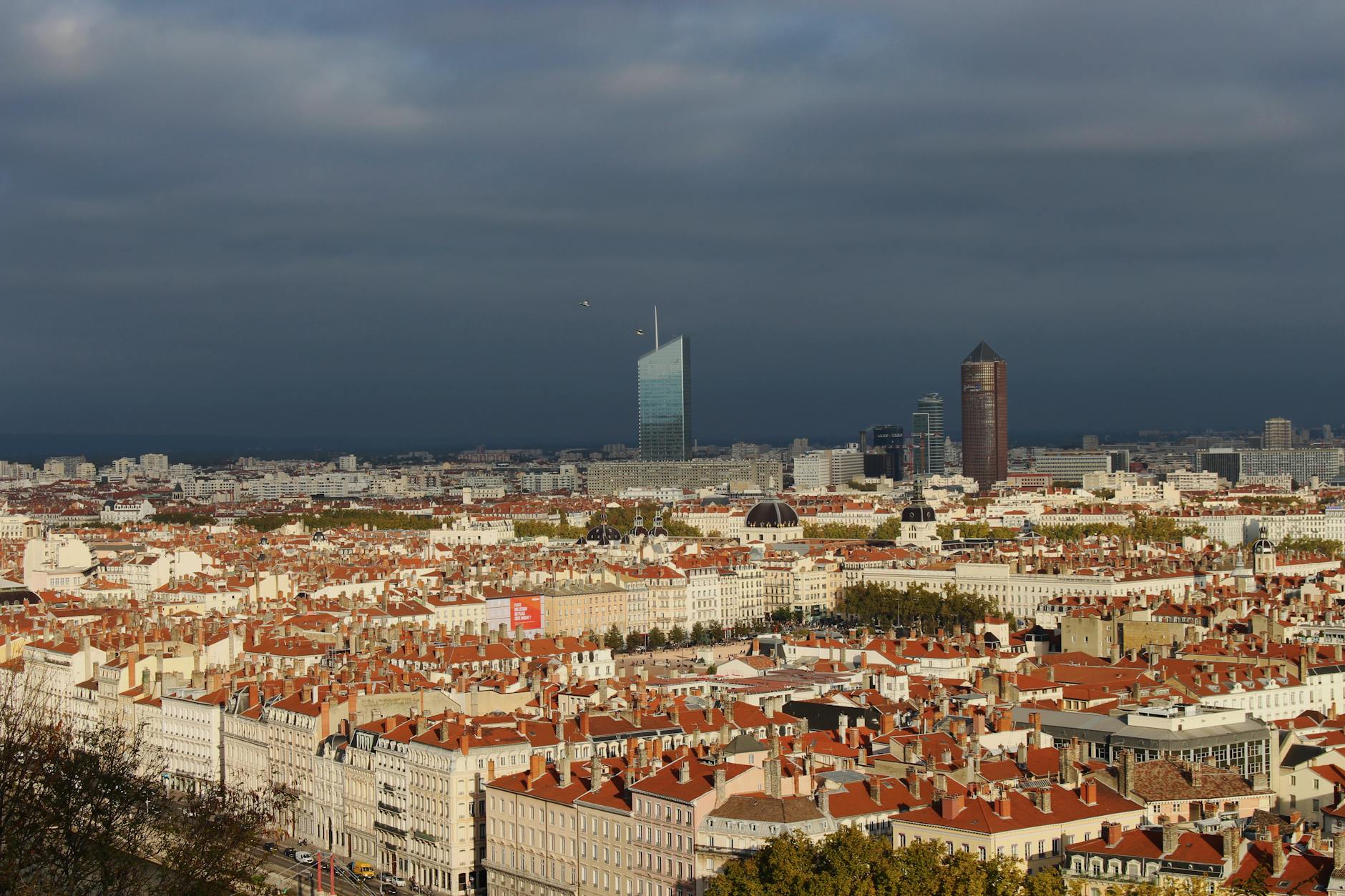 How an Interpol Internship in France Can Launch Your Global Security Career